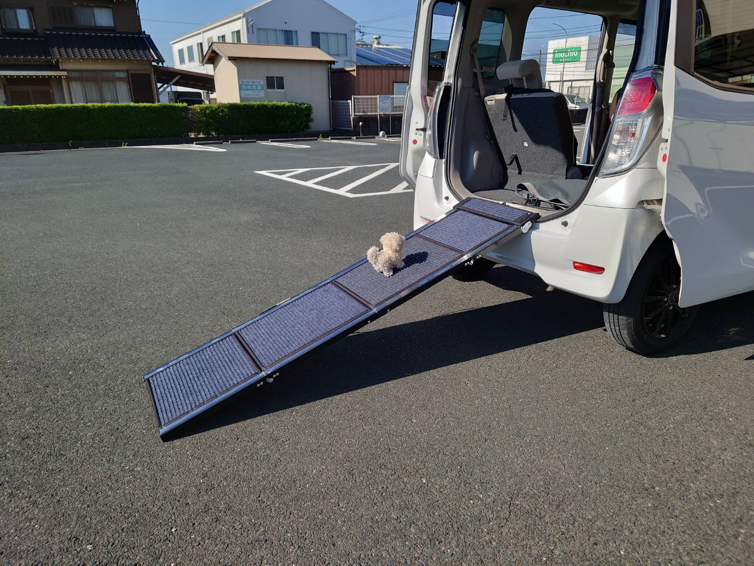 スロープを使ってワンちゃんが自分で乗車する様子